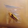 9 fishing spoon lures Image 6