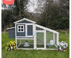 Brand New Amy Chicken Coup with Run 250 ONO