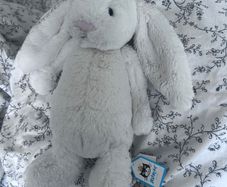 BNWT Authentic Jellycat Bashful Bunny Cream