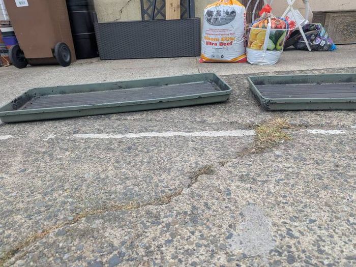 Shallow planters x2