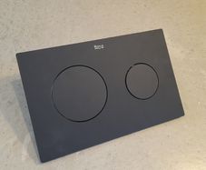 Toilet Flush Plate