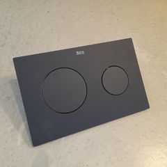 Toilet Flush Plate