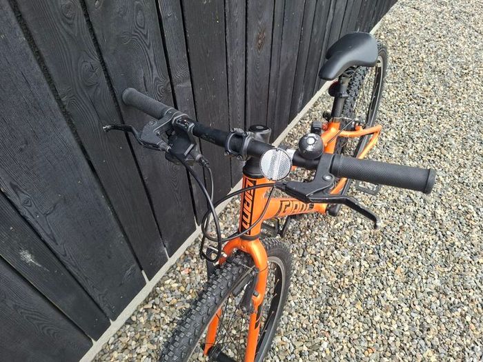 Giant ARX 24 inch kids bike