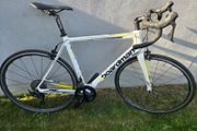 Cboardman carbon