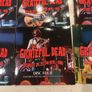 Grateful Dead 12 cd Broadcast Collection 1976-1980 Image 4