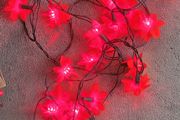 Red Flower (Ponsettia) Plug in lights
