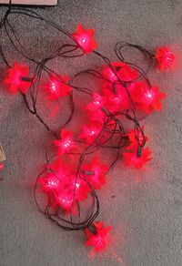 Red Flower (Ponsettia) Plug in lights