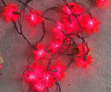 Red Flower (Ponsettia) Plug in lights