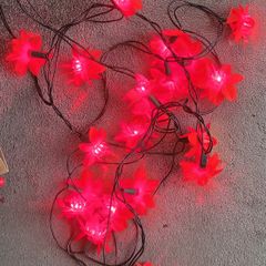 Red Flower (Ponsettia) Plug in lights