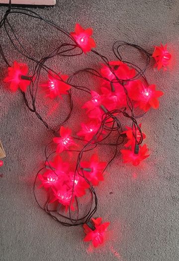 Red Flower (Ponsettia) Plug in lights