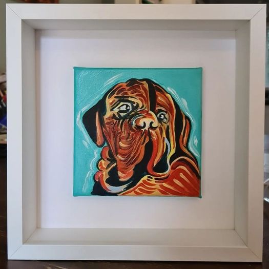 Pet Portraits
