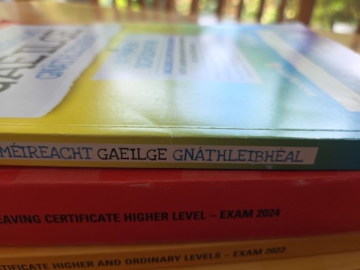 leaving cert past papers bn