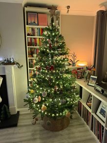 Woodies 7ft christmas tree
