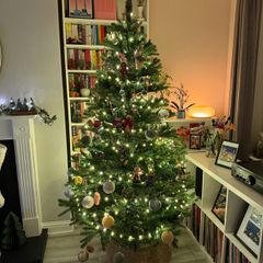 Woodies 7ft christmas tree