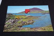 Ireland Postcard : Ballynakill Harbour and Letterbeg Mountain , Connemara , Co. Galway - 1960s