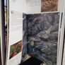 A Day in the Life of Spain by Rick Smolan and David Cohen (RB207) Image 4
