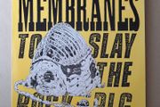 The Membranes album Post Punk John Robb