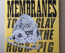 The Membranes album Post Punk John Robb