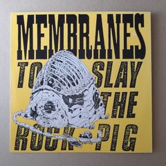 The Membranes album Post Punk John Robb