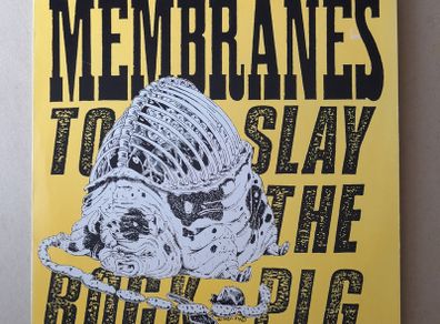 The Membranes album Post Punk John Robb