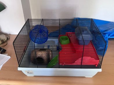 Curated visual reference: Gallery Detail: Free Hamster Cage For Sale In Dublin 14 Dublin From