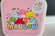 snack boxes