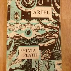 Sylvia Plath Ariel Poetry