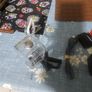 go pro hero sesion Image 2
