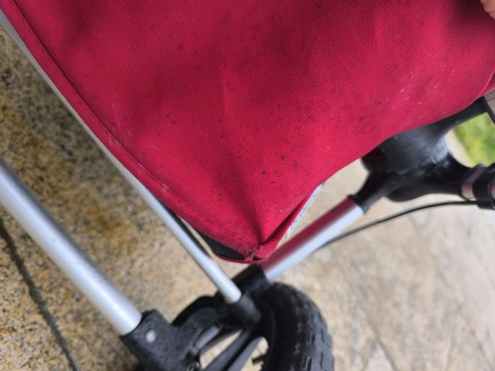 pram  pushchair bugaboo