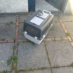 dog Box