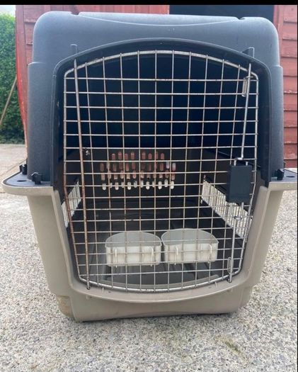 animal transporter box