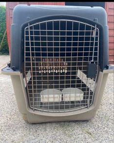 animal transporter box