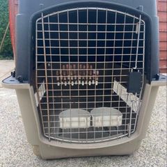 animal transporter box