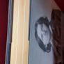 Gerard Hanbury / More Lives Than One/ Wilde Family through the Generations/ 1st ed. /2011 Image 3