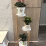BRAND NEW Solid Wood Bedroom Garden Flower Pot Rack Indoor Balcony Living Room Floor Type Plant Shelf Hotel Lobby Cafe Plant Stands Image 5