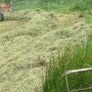 Haylage Image 4