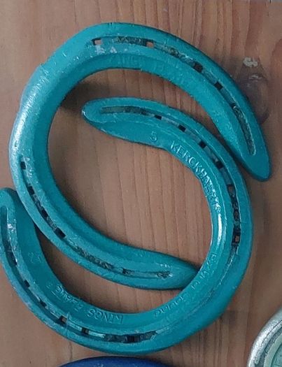 Lucky Decorated Irish Horseshoe twin pack