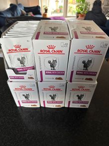Cat Food Royal Canin