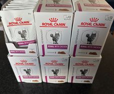 Cat Food Royal Canin