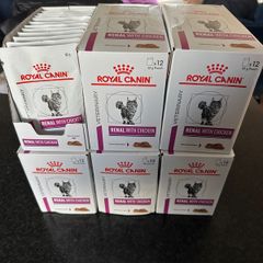 Cat Food Royal Canin