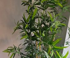 Large Artificial Bamboo Tree Plant pot