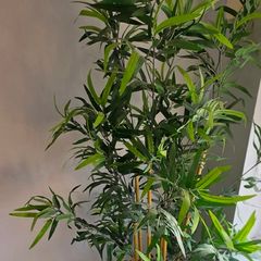 Large Artificial Bamboo Tree Plant pot