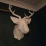 Wall decor Image 3