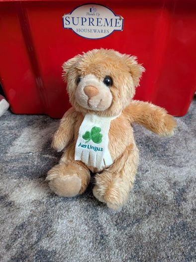 airline bears eur 10 each