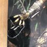 Neca Ultimate Predator Bundle Image 8