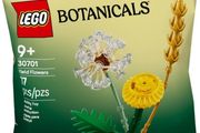 LEGO Botanicals Field Flowers 30701