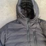canada goose Image 3