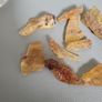 Amber baltic. Image 2