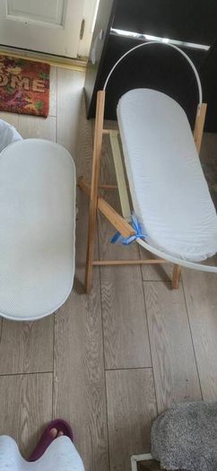 Moses basket