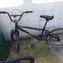 bmxs Image 4